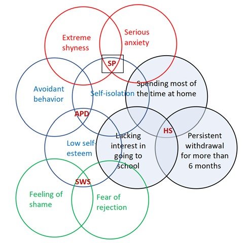 A Symptomatic Nosography of a Case with Hikikomori Syndrome