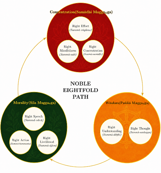 Eight noble paths with moral, concentration and wisdom